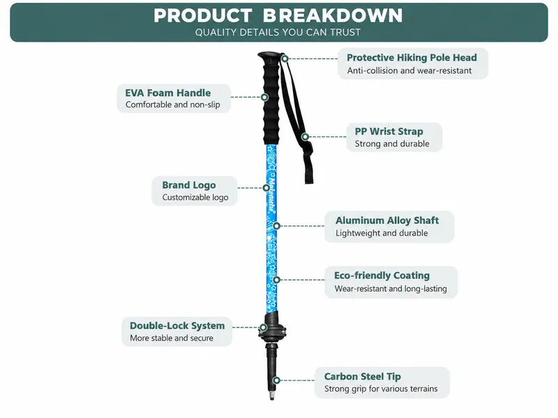 Children's Hiking Pole Product Breakdown with EVA Foam Handle and Aluminum Alloy Shaft